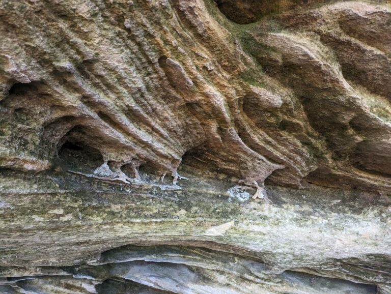 On The Road - Kosh III - Pogue Creek Canyon State State Natural Area 4