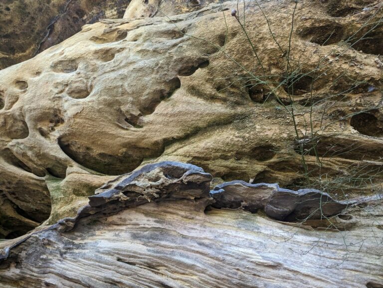 On The Road - Kosh III - Pogue Creek Canyon State State Natural Area 3