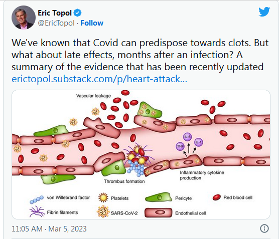 COVID-19 Coronavirus Updates: March 8, 2023 13