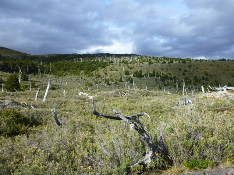 On The Road - way2blue - Patagonia 2023