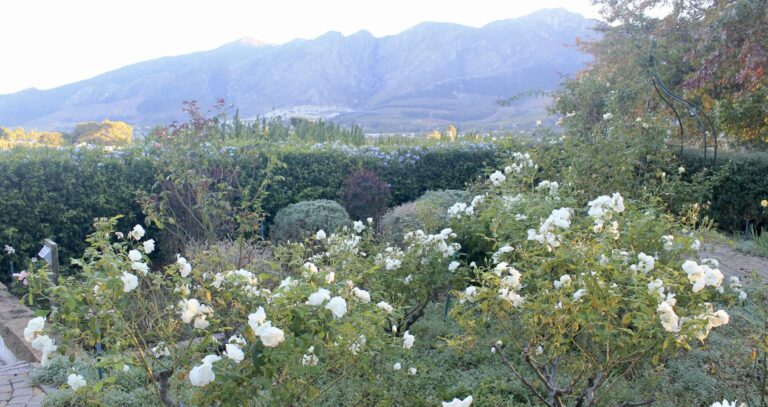 On The Road - Deputinize Eurasia from the Kuriles to St Petersburg - South Africa - Cape Town-Franschhoek-Sabi River 8