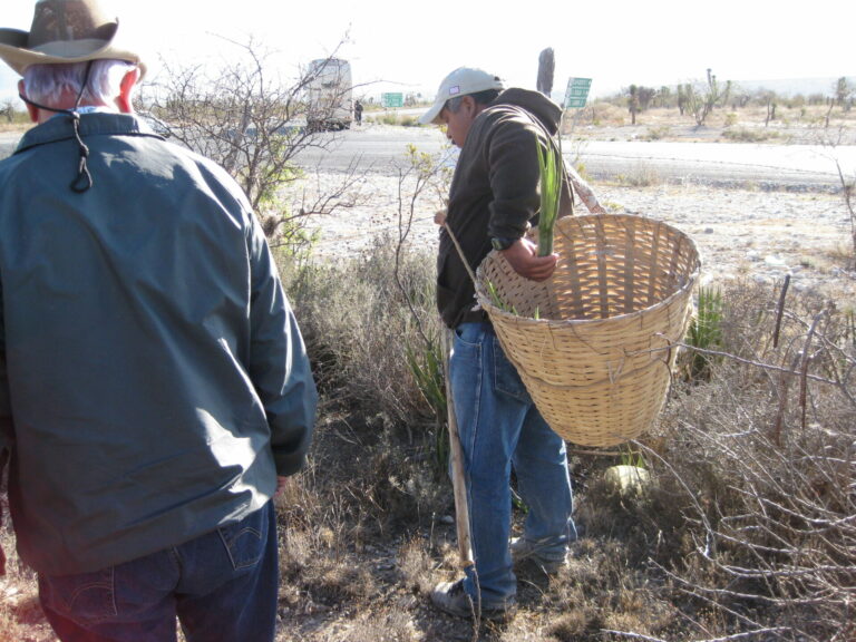 On The Road - Elma - Mexican Bus Trip 5