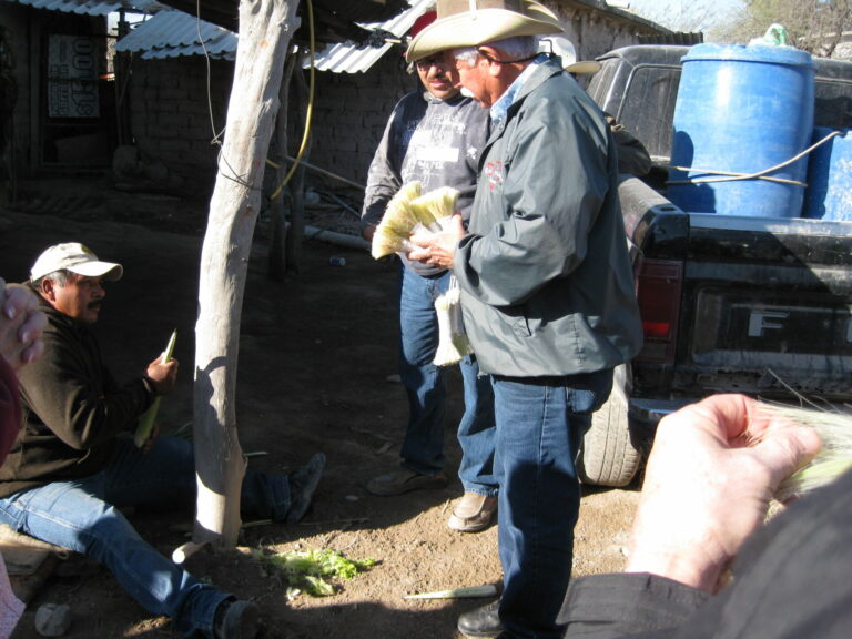 On The Road - Elma - Mexican Bus Trip 4