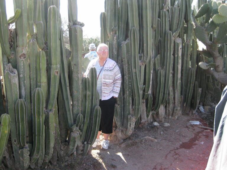 On The Road - Elma - Mexican Bus Trip 6