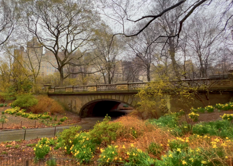 On The Road - ema - City Blooms and Solidarity Ducks 5