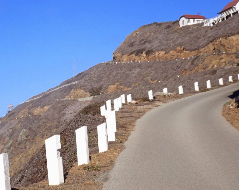 On The Road - Dangerman - Point Sur Lighthouse (And Whale Watching, Wildflowers. and a Random Lighthouse Story) 7