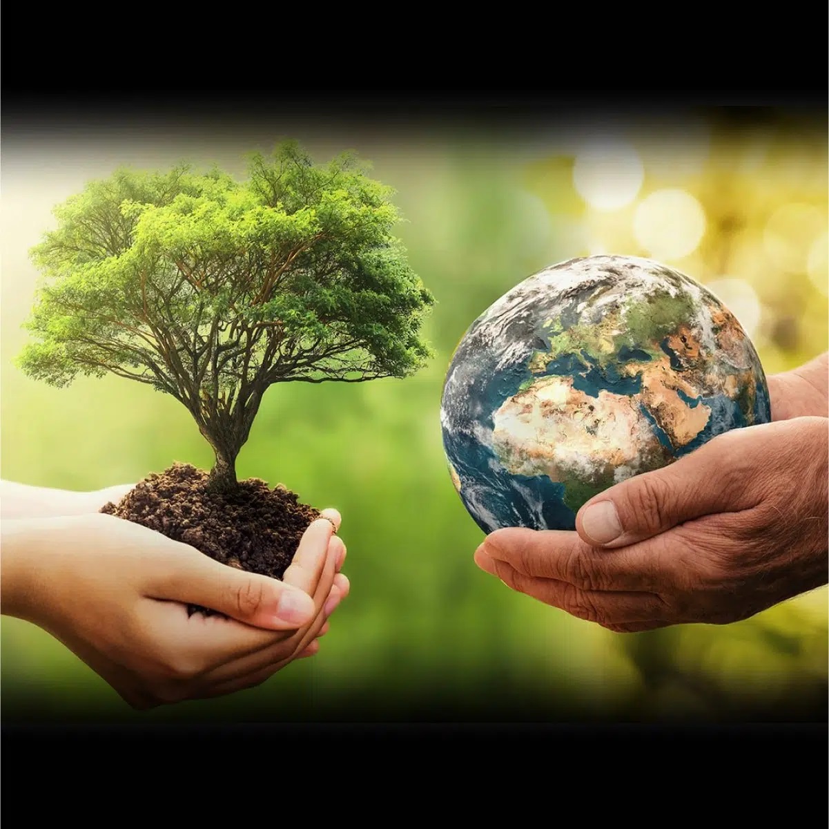 Climate Solutions: Happy Earth Day