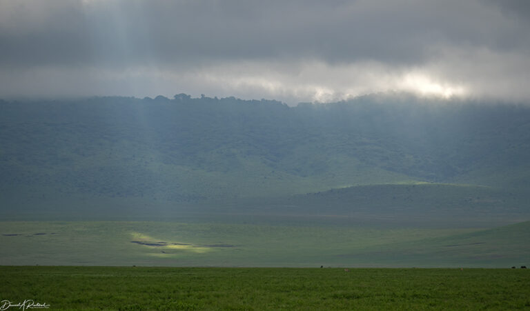 On The Road - Albatrossity - Day 2 in Ngorongoro Crater - 1 4