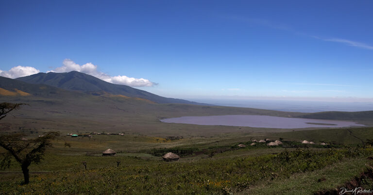 On The Road - Albatrossity - From Ngorongoro to the Serengeti 7