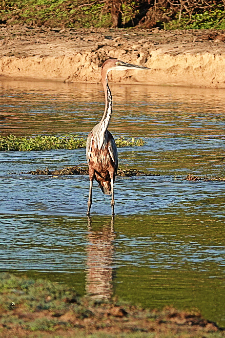 On The Road - lashonharangue - Tanzania - Nyerere National Park: Part 2 6