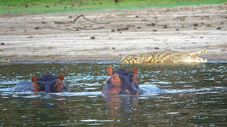 On The Road - lashonharangue - Tanzania - Nyerere National Park: Part 2 4