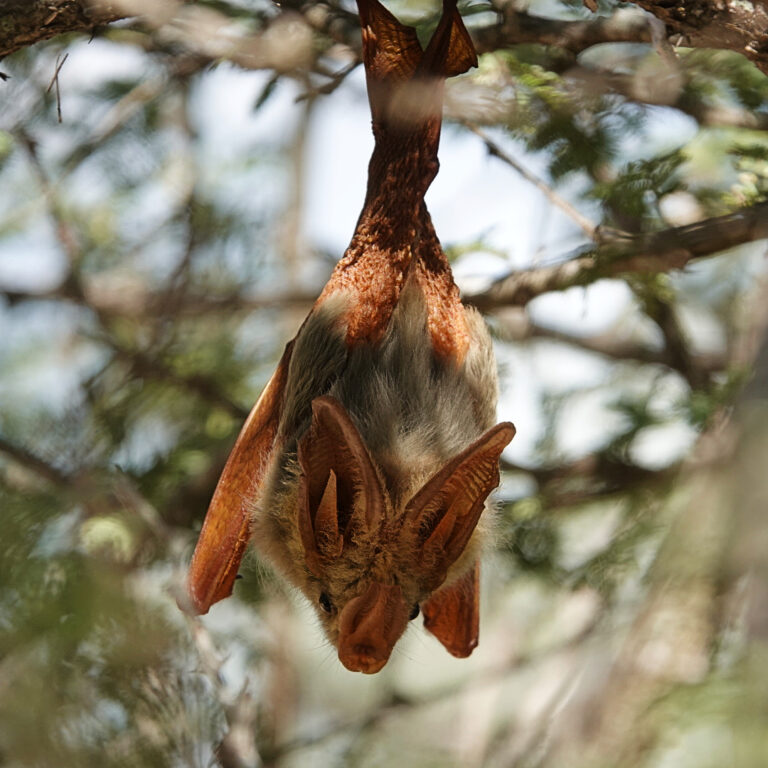 On The Road - lashonharangue - Tanzania - Nyerere National Park: Part 1 3