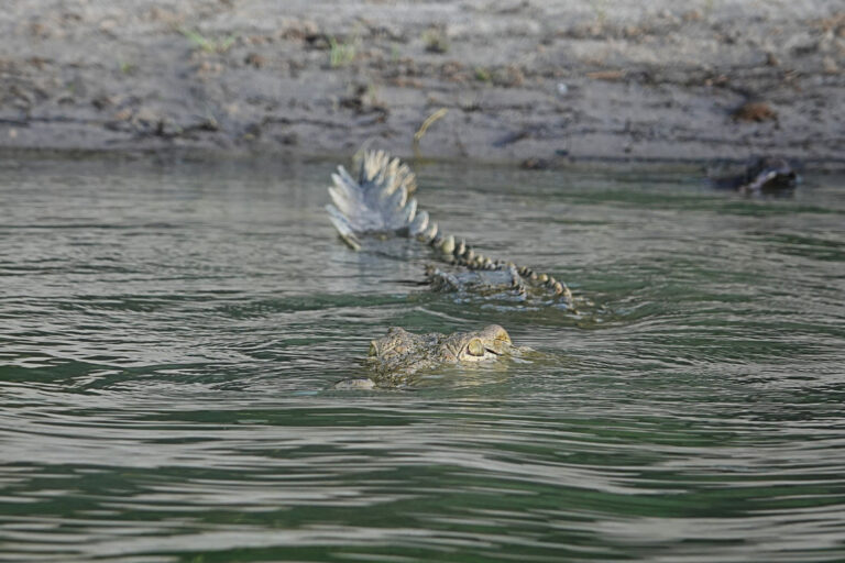 On The Road - lashonharangue - Tanzania - Nyerere National Park: Part 2 3