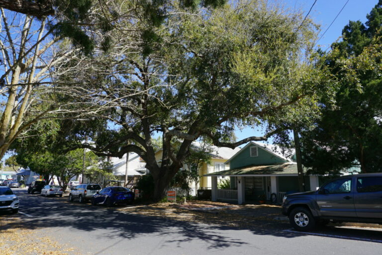 On The Road - frosty - Cedar Key, Old Florida 6