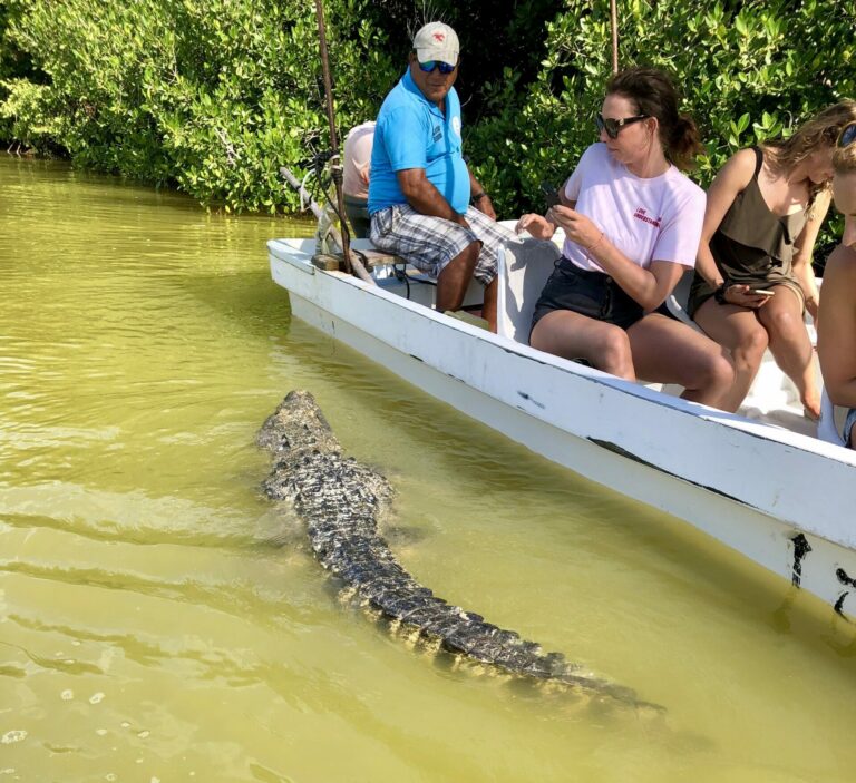 On The Road - Uncle Ebeneezer - Yucatan Adventure Part 2 (of 8) - Rio Lagartos 3