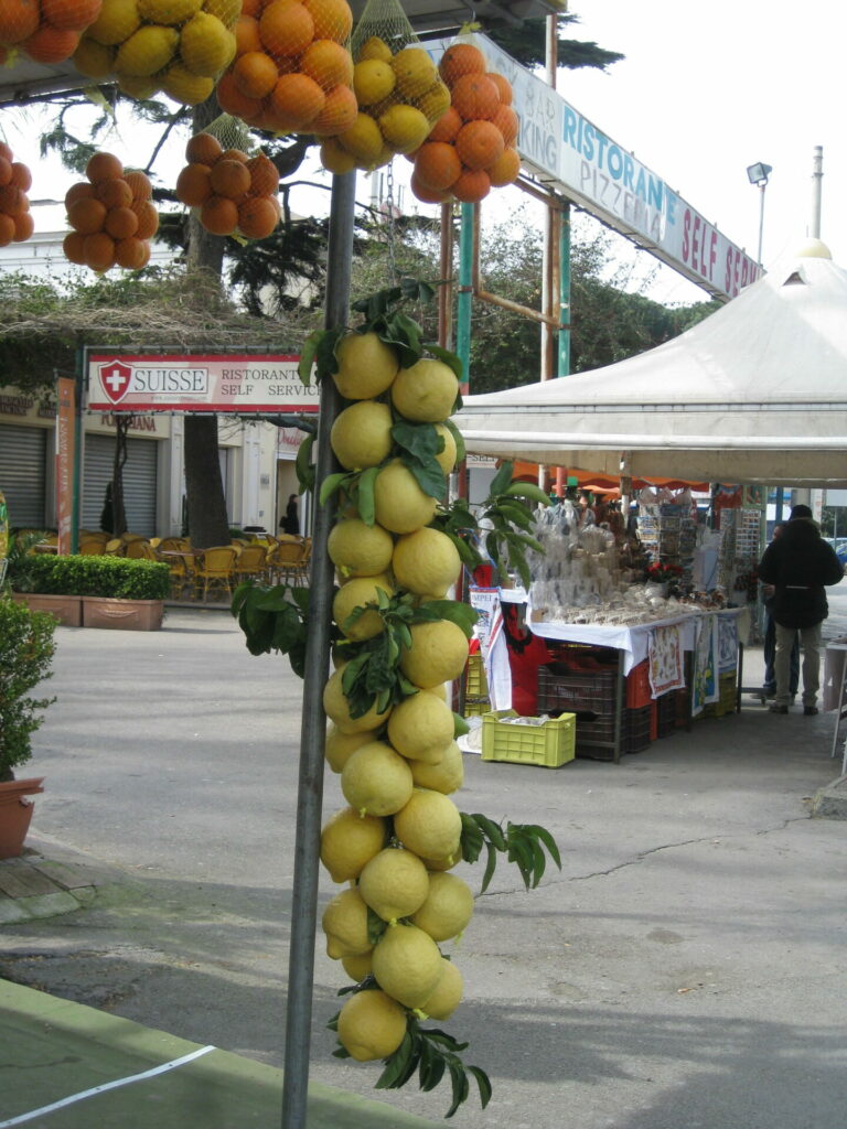 On The Road - Elma - Day Trip to Naples and Pompeii 6