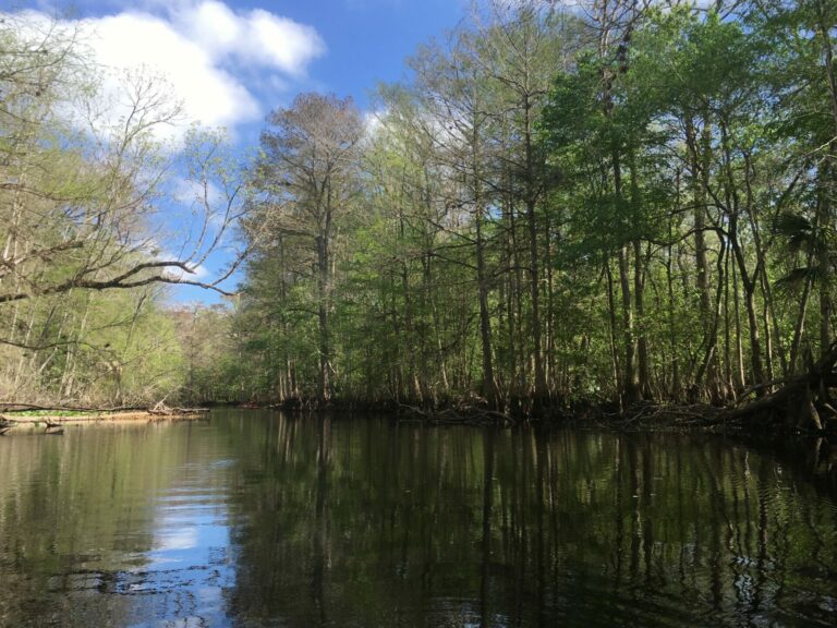 On The Road - frosty - Ocklawaha River, FL 7