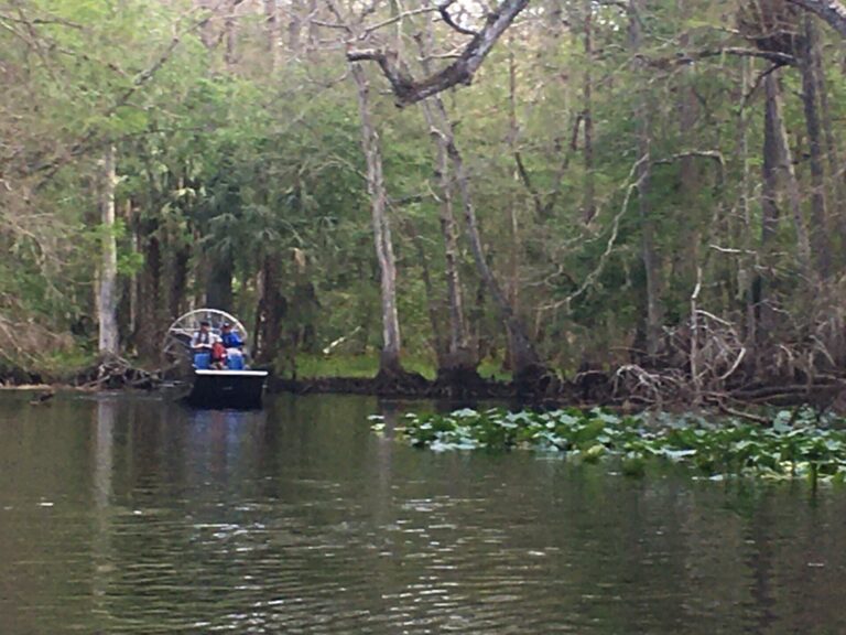 On The Road - frosty - Ocklawaha River, FL 5