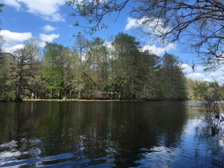 On The Road - frosty - Ocklawaha River, FL 4