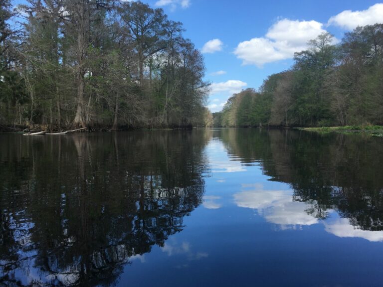 On The Road - frosty - Ocklawaha River, FL 2