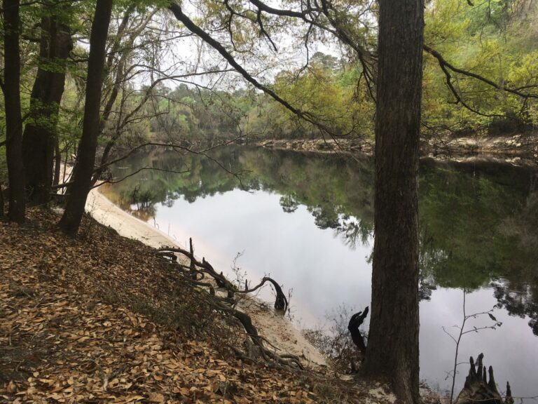 On The Road - frosty - Suwanee River State Park 4