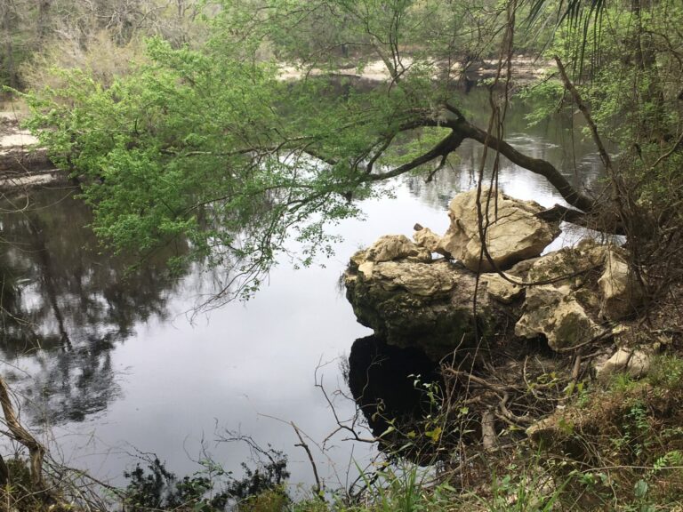 On The Road - frosty - Suwanee River State Park 2