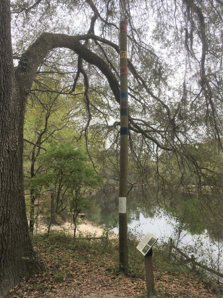 On The Road - frosty - Suwanee River State Park