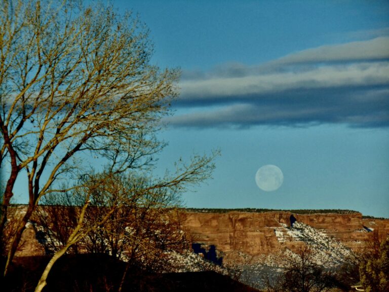 On The Road - cope - Western Colorado Sampler 7