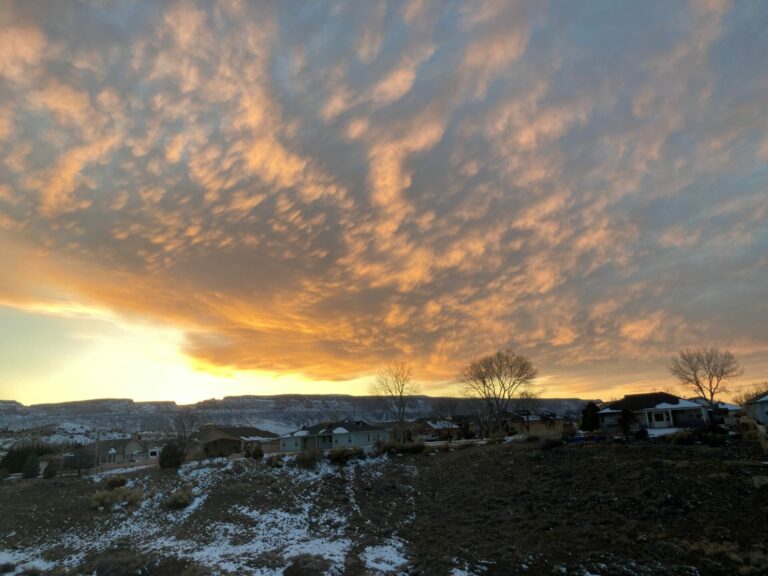 On The Road - cope - Western Colorado Sampler 8