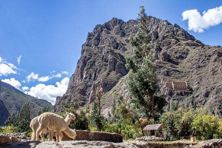 On The Road - arrieve - Peru, Part 6: Ollantaytambo 8