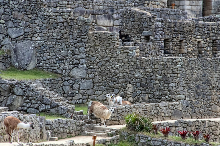 On The Road - arrieve - Peru, Part 4: Machu Picchu 1