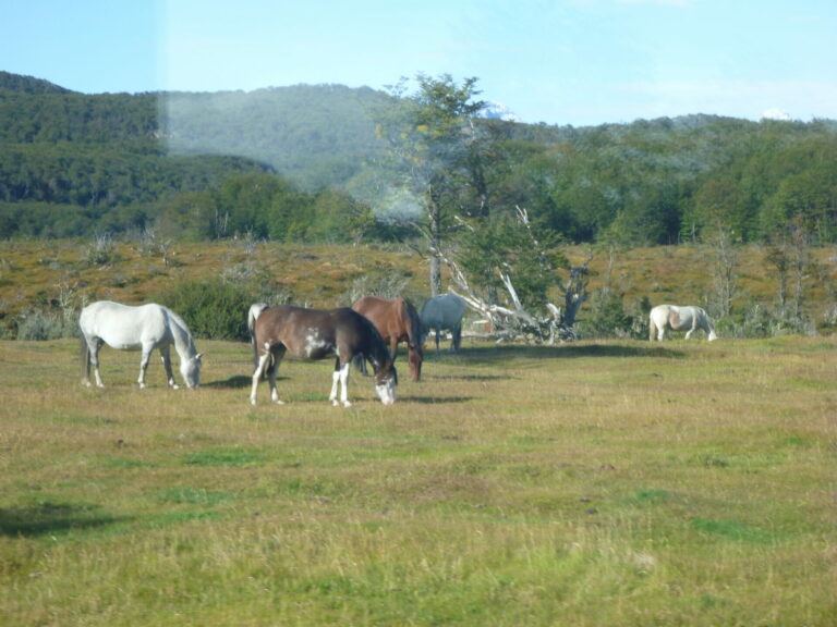 On The Road - way2blue - USHUAIA, ARGENTINA [1 of 2] 3