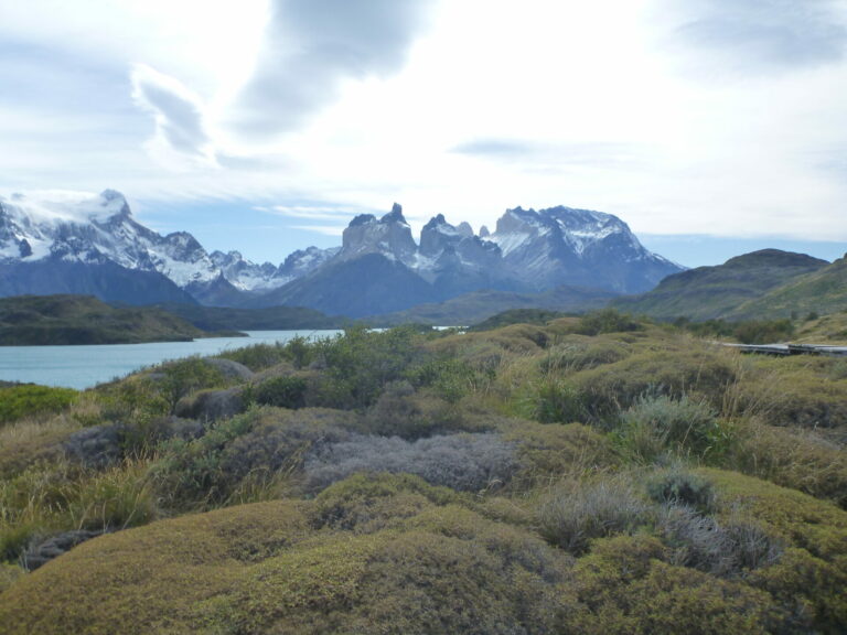 On The Road - way2blue - Torres del Paine, Chile March 2023 [1 of 2] 9