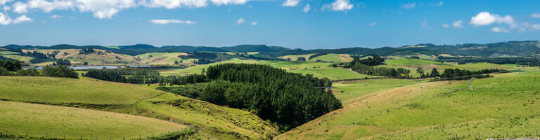 On The Road - Dagaetch - World Tour Part 5B - New Zealand 7