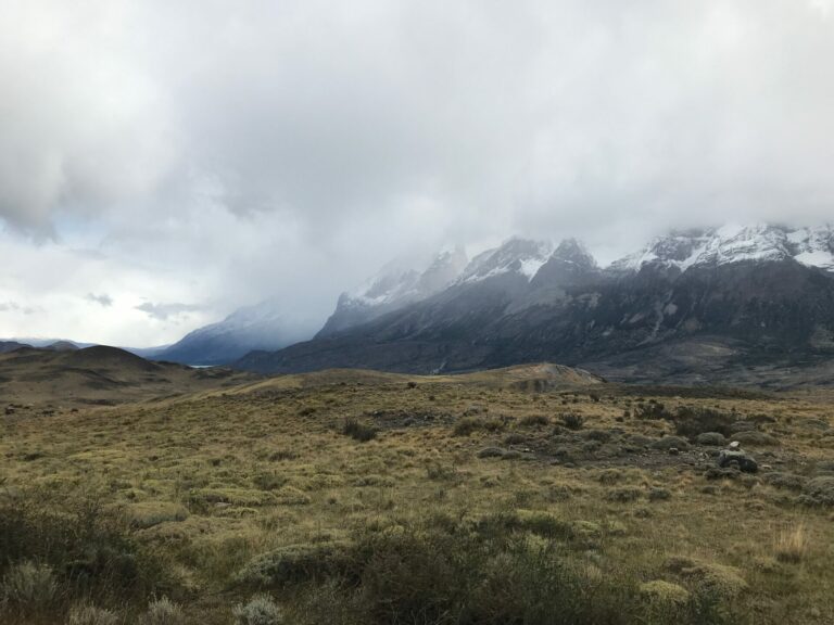 On The Road - way2blue - Torres del Paine, Chile March 2023 [1 of 2] 8