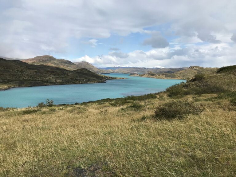 On The Road - way2blue - Torres del Paine, Chile March 2023 [1 of 2] 7