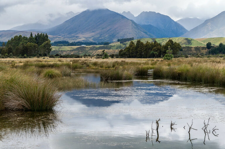 On The Road - Dagaetch - World Tour Part 5C - New Zealand 7