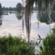 On The Road - Winter Wren - Orlando Wetlands - Spring into Summer 1