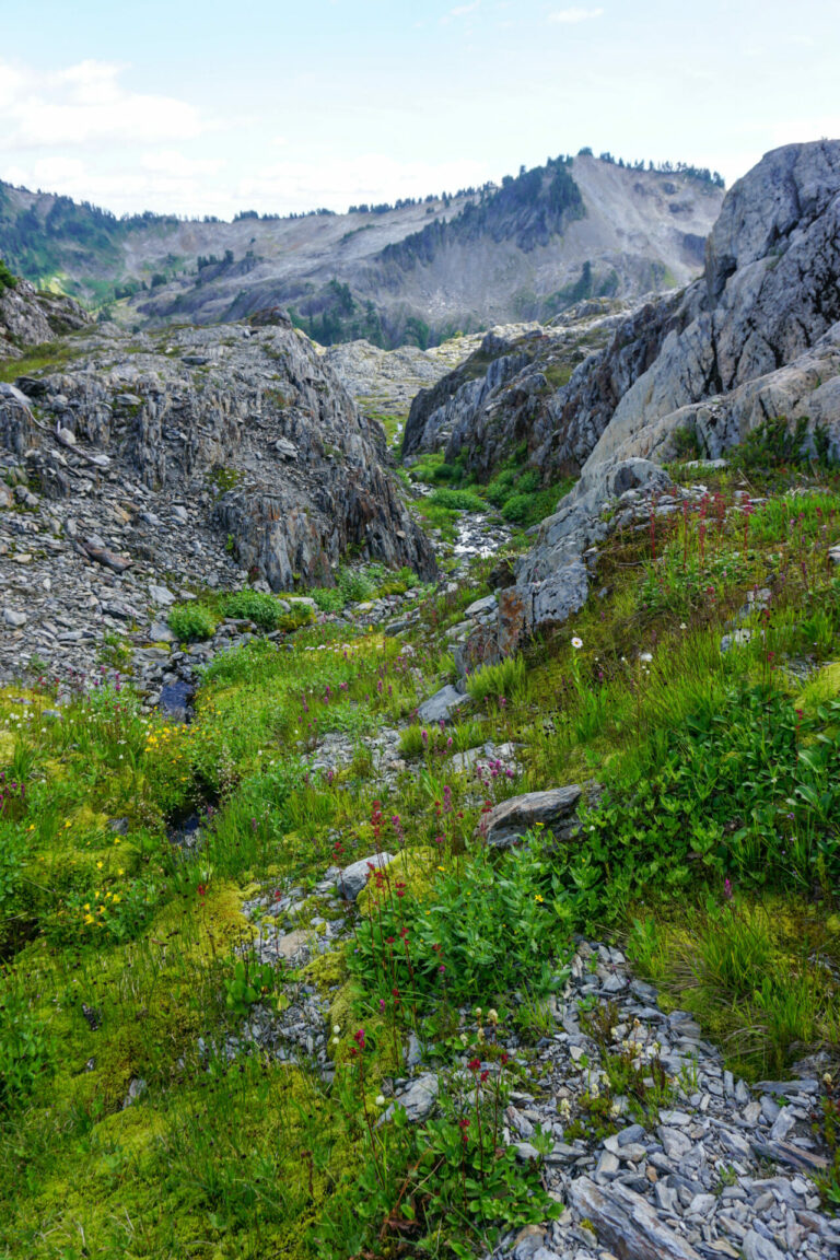 On The Road - Kabecoo - The Skyline Trail, Olympic National Park, Post 2 3