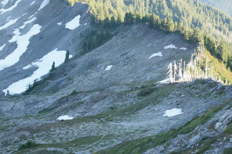 On The Road - Kabecoo - The Skyline Trail, Olympic National Park, Post 2 5
