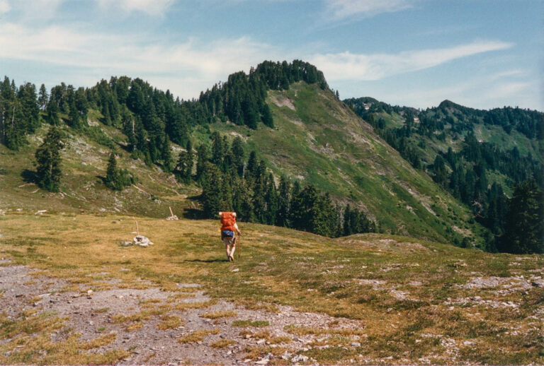 On The Road - Kabecoo - The Skyline Trail, Olympic National Park 5