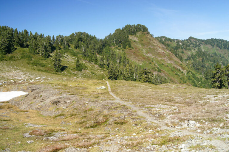 On The Road - Kabecoo - The Skyline Trail, Olympic National Park 4