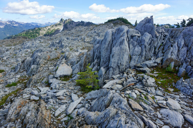 On The Road - Kabecoo - The Skyline Trail, Olympic National Park, Post 2 7