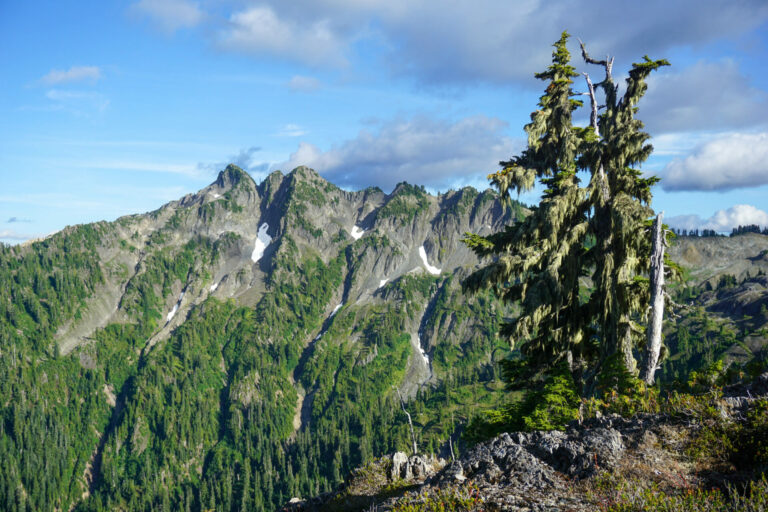 On The Road - Kabecoo - The Skyline Trail, Olympic National Park 9