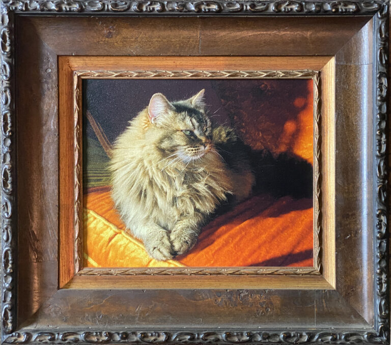Furry Friends - Mike in Oly -  - Remembering Our Family Pets Thru Art 6