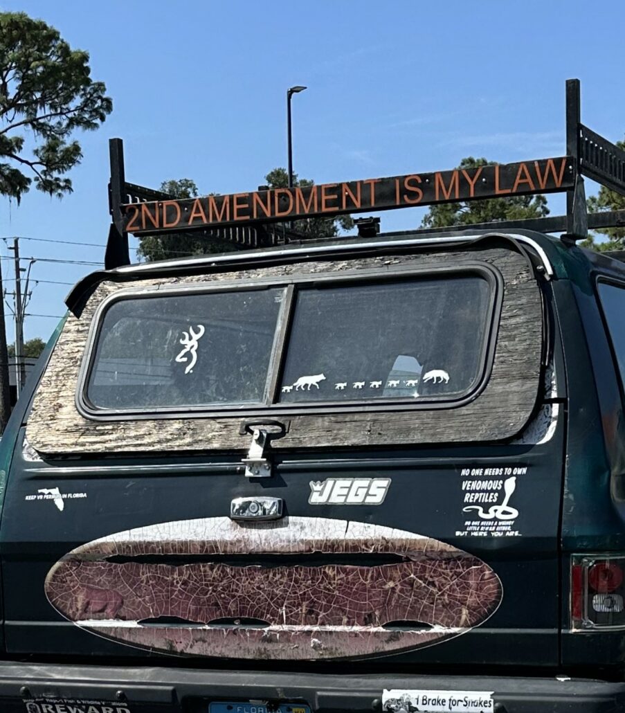 Truck with homemade "2nd AMENDMENT IS MY LAW" sign on top.