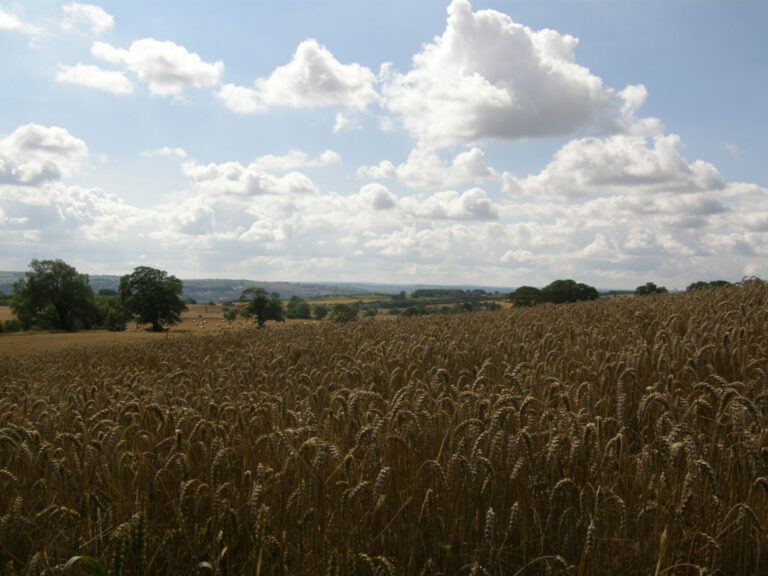 On The Road - Athenaze and Ariobarzanes - Hiking Hadrian’s Wall—Part III of III 6