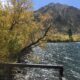 On The Road - UncleEbeneezer - Golden Sierra 2023- Convict Lake (Part 1 of 4) 7