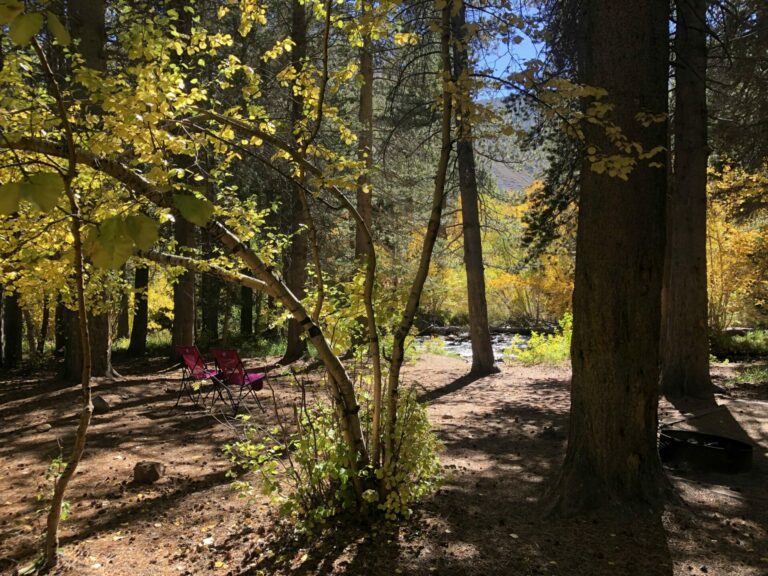 On The Road - UncleEbeneezer - Golden Sierra 2023: Bishop Park (Part 2 of 4) 9
