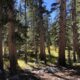 On The Road - UncleEbeneezer - Golden Sierra 2023: Long Lake (Part 3 of 4) 6